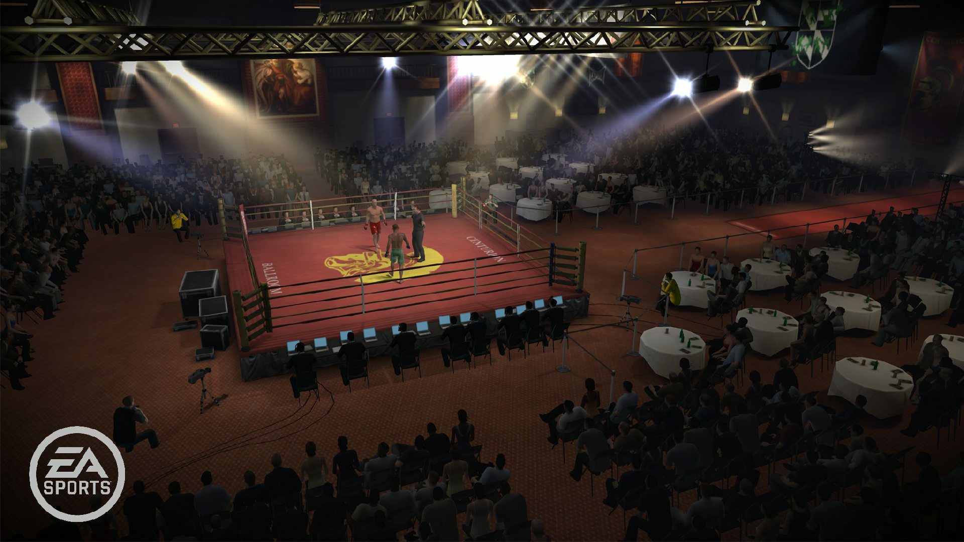 EA Sports MMA